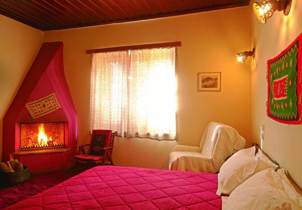 Hotel Galaxias Metsovo Kamer foto